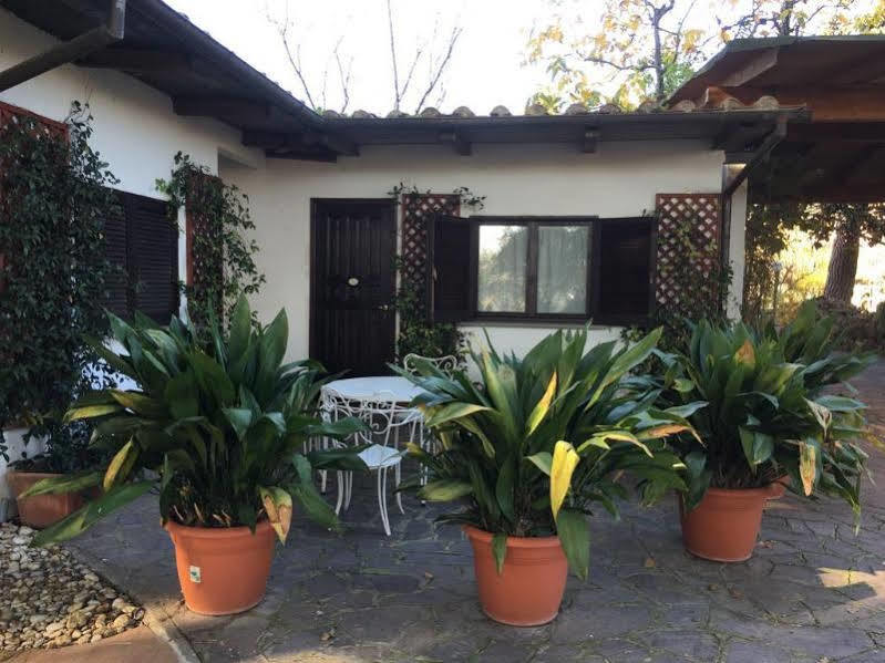 Hotell Antica Palmieri Rom